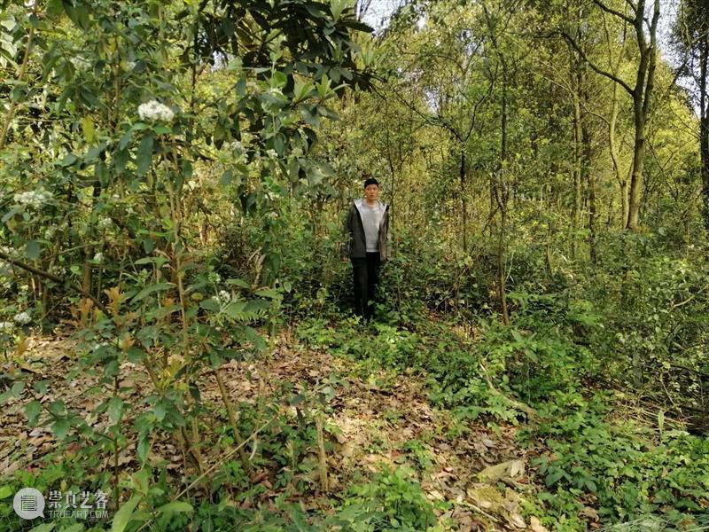 金罡:宁静致远 金罡 展期 地址 上海市 徐汇区 龙腾大道3398号 龙美术馆 西岸 艺术 空间 崇真艺客