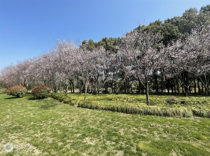 天晴了,踏进春天的门槛~~ 天晴 门槛 志生 小径分岔的花园 美博 主题展 窗外 枝丫 雾气 爱情 崇真艺客