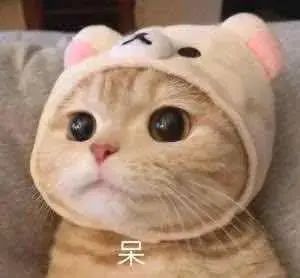 《阿凡达》票房重新登顶；《入殓师》4k修复版引进 票房 阿凡达 入殓师 修复版 影视 好剧 小豆 你好 李焕英 全球 崇真艺客