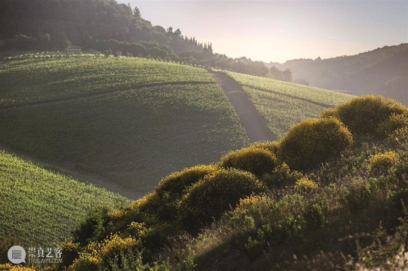 一本带您游历欧洲十二座葡萄酒名庄的珍贵护照 | PFV 顶级葡萄酒家族联盟限量版收藏礼盒上拍 欧洲十二座 葡萄酒名庄 护照 PFV 葡萄酒家族联盟 限量版 礼盒 酒界 翘楚 瑰酿蘇富比 崇真艺客