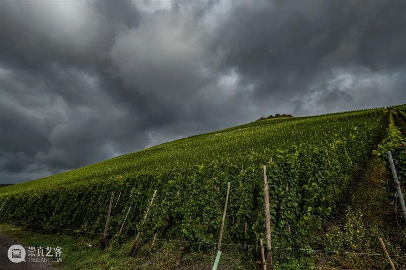 一本带您游历欧洲十二座葡萄酒名庄的珍贵护照 | PFV 顶级葡萄酒家族联盟限量版收藏礼盒上拍 欧洲十二座 葡萄酒名庄 护照 PFV 葡萄酒家族联盟 限量版 礼盒 酒界 翘楚 瑰酿蘇富比 崇真艺客