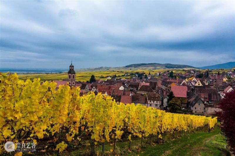 一本带您游历欧洲十二座葡萄酒名庄的珍贵护照 | PFV 顶级葡萄酒家族联盟限量版收藏礼盒上拍 欧洲十二座 葡萄酒名庄 护照 PFV 葡萄酒家族联盟 限量版 礼盒 酒界 翘楚 瑰酿蘇富比 崇真艺客