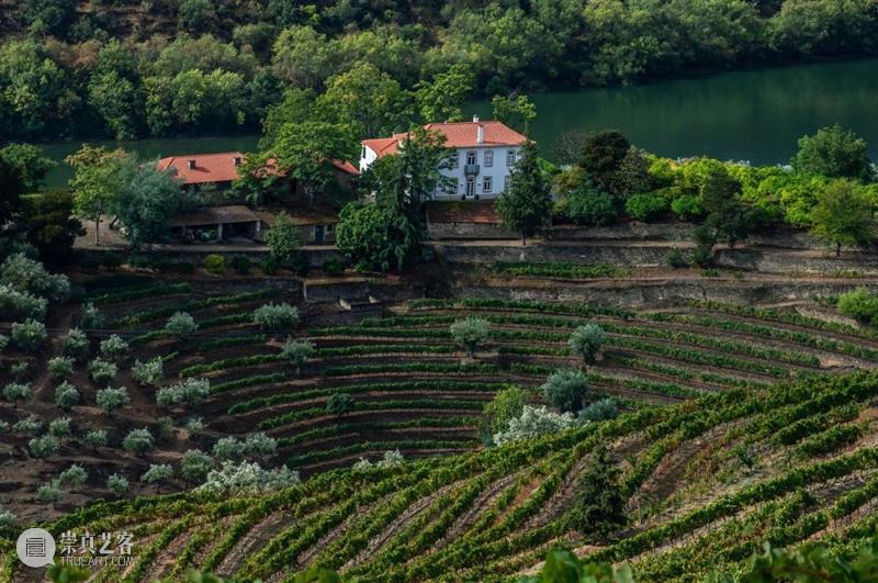 一本带您游历欧洲十二座葡萄酒名庄的珍贵护照 | PFV 顶级葡萄酒家族联盟限量版收藏礼盒上拍 欧洲十二座 葡萄酒名庄 护照 PFV 葡萄酒家族联盟 限量版 礼盒 酒界 翘楚 瑰酿蘇富比 崇真艺客