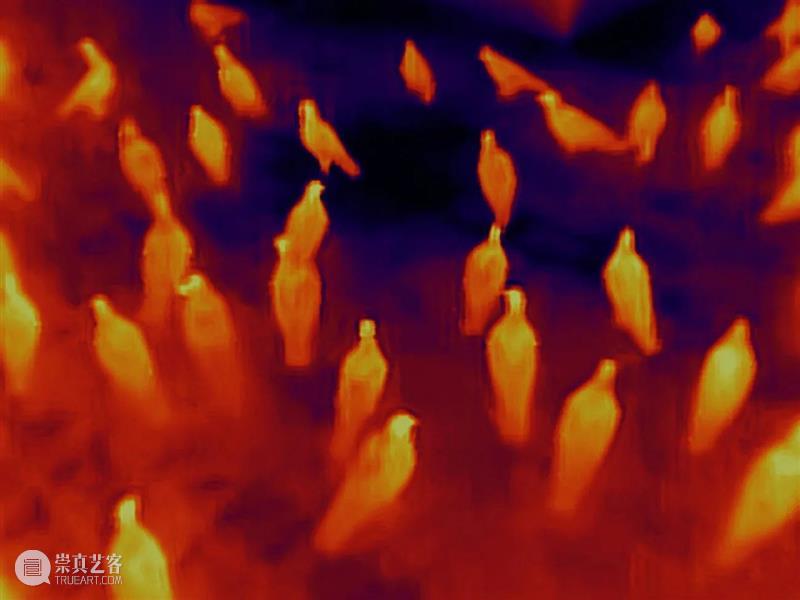 光社摄影图书馆 |   安托万·达加塔与疫情中的法国  光社摄影图书馆 安托万 法国 疫情 达加塔 Antoine Agata 阿加塔 肖像 摄影师 崇真艺客