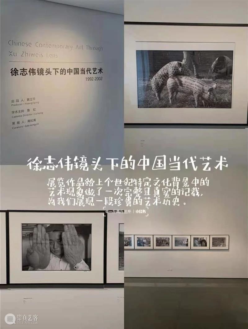 展览印象 | 观“徐志伟镜头下的中国当代艺术1992-2002 ” 徐志伟 镜头 中国 艺术 印象 文化 背景 现象 现场 小合 崇真艺客