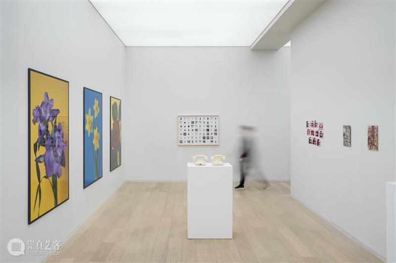 香港｜展览现场｜汉斯-彼得·费尔德曼 香港 现场 汉斯 彼得 费尔德曼 图片 记忆 Lee 画廊 空间 崇真艺客