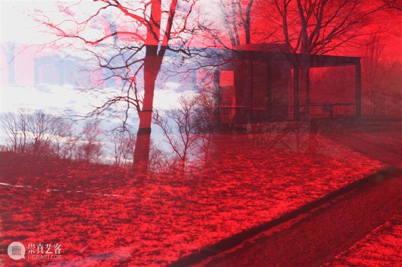 卓纳香港新展 | 詹姆斯·威灵《变形记》（James Welling: Metamorphosis） 卓纳 詹姆斯 威灵 Welling 变形记 香港 Metamorphosis 画廊 罗马玻璃器皿 油性 崇真艺客