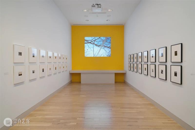 卓纳香港新展 | 詹姆斯·威灵《变形记》（James Welling: Metamorphosis） 卓纳 詹姆斯 威灵 Welling 变形记 香港 Metamorphosis 画廊 罗马玻璃器皿 油性 崇真艺客