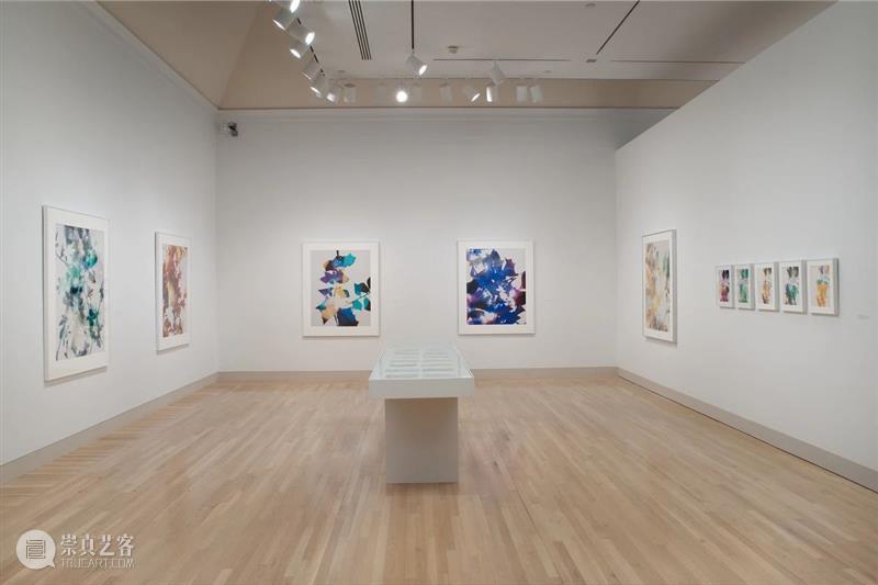 卓纳香港新展 | 詹姆斯·威灵《变形记》（James Welling: Metamorphosis） 卓纳 詹姆斯 威灵 Welling 变形记 香港 Metamorphosis 画廊 罗马玻璃器皿 油性 崇真艺客