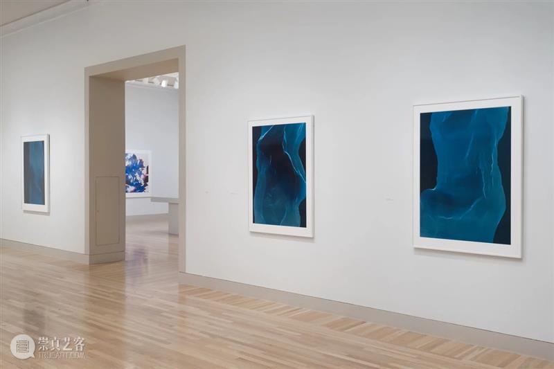 卓纳香港新展 | 詹姆斯·威灵《变形记》（James Welling: Metamorphosis） 卓纳 詹姆斯 威灵 Welling 变形记 香港 Metamorphosis 画廊 罗马玻璃器皿 油性 崇真艺客