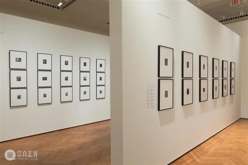 卓纳香港新展 | 詹姆斯·威灵《变形记》（James Welling: Metamorphosis） 卓纳 詹姆斯 威灵 Welling 变形记 香港 Metamorphosis 画廊 罗马玻璃器皿 油性 崇真艺客