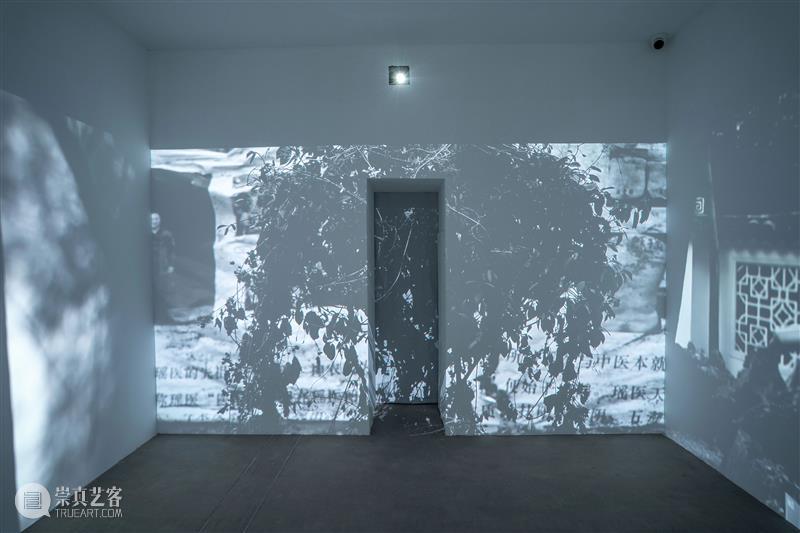 Wind H 展览 | 《存在》开幕现场 存在 现场 Wind Existence 迷宫 入口 策展人 廖雯 山中天艺术中心 艺术 崇真艺客