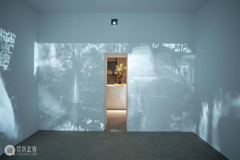 Wind H 展览 | 《存在》开幕现场 存在 现场 Wind Existence 迷宫 入口 策展人 廖雯 山中天艺术中心 艺术 崇真艺客