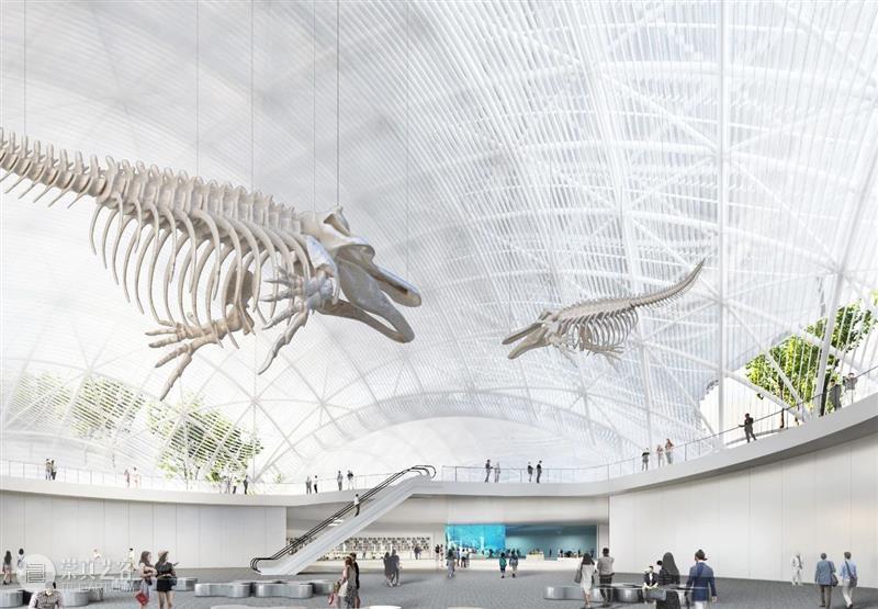 SANAA赢‘深圳海洋博物馆’,即是结构又是空间的‘半球组合’ SANAA 空间 结构 深圳海洋博物馆 半球 有限会社SANAA 事务所 深圳 海洋博物馆 建筑设计 崇真艺客