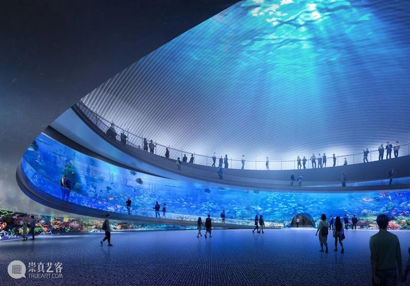 SANAA赢‘深圳海洋博物馆’,即是结构又是空间的‘半球组合’ SANAA 空间 结构 深圳海洋博物馆 半球 有限会社SANAA 事务所 深圳 海洋博物馆 建筑设计 崇真艺客