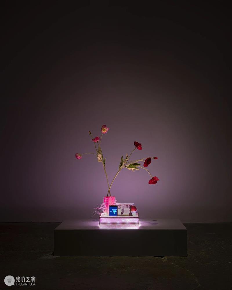 ≡ 杨嘉辉 | 个展“Closer Reading” |  意大利米兰Ordet艺术中心 杨嘉辉 Reading 意大利米兰 Ordet 艺术 中心 个展 细节 Detail Samson 崇真艺客