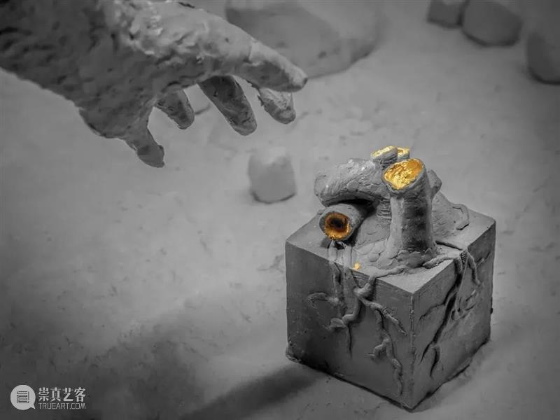 一切与记忆有关 记忆 尼采 世间 万物 物质 内核 精神 属性 个体 生命 崇真艺客