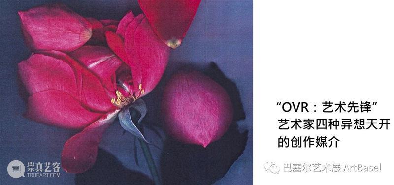 艺术家看“OVR：艺术先锋” | 阿尔瓦罗·巴林顿（Alvaro Barrington） OVR 艺术 先锋 艺术家 阿尔瓦罗 巴林顿 Barrington 作品 伦敦 加勒比海 崇真艺客