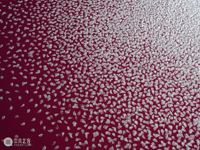日本艺术家用盐画画,55个小时制作10万朵樱花,背后原因令人泪目 樱花 日本 背后 艺术 原因 泪目 赏樱 季节 枝头 心神 崇真艺客