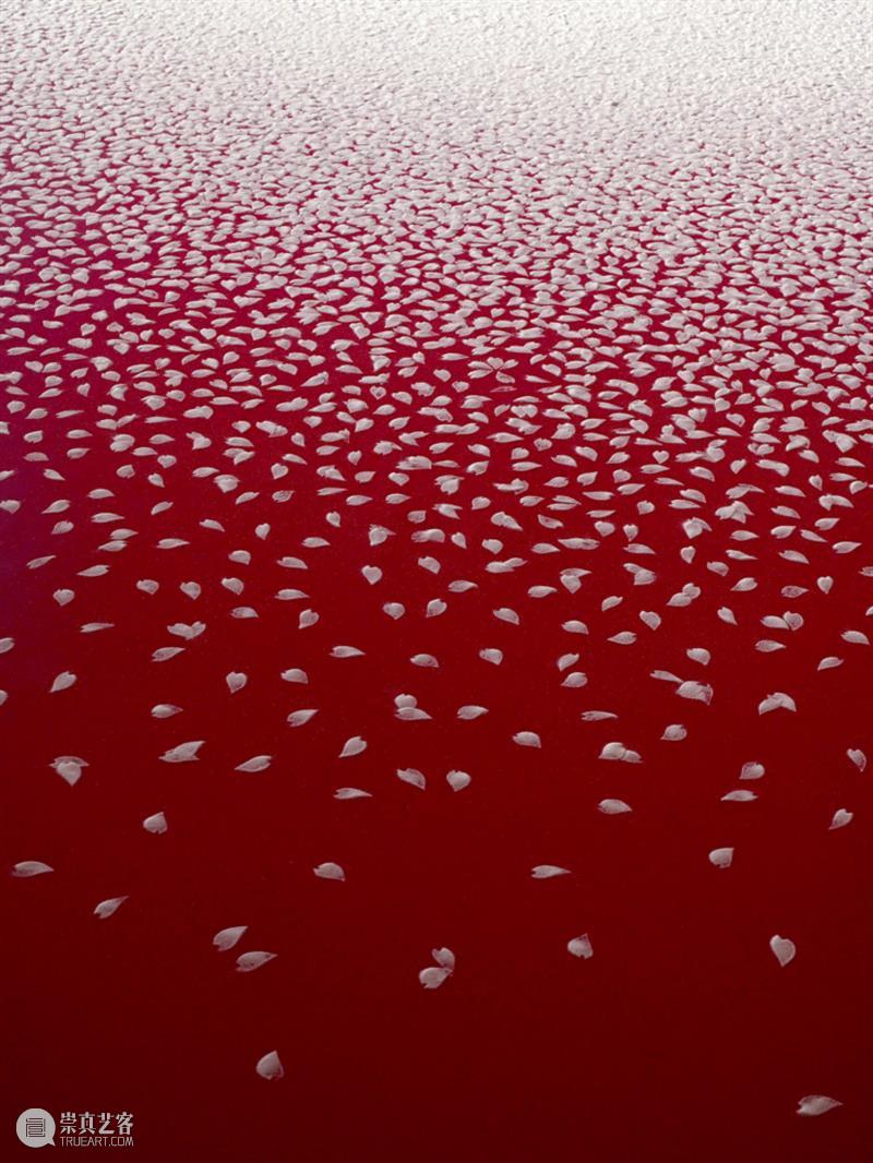 日本艺术家用盐画画,55个小时制作10万朵樱花,背后原因令人泪目 樱花 日本 背后 艺术 原因 泪目 赏樱 季节 枝头 心神 崇真艺客