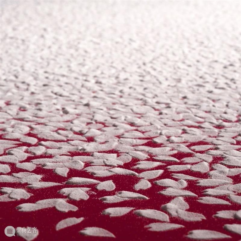 日本艺术家用盐画画,55个小时制作10万朵樱花,背后原因令人泪目 樱花 日本 背后 艺术 原因 泪目 赏樱 季节 枝头 心神 崇真艺客