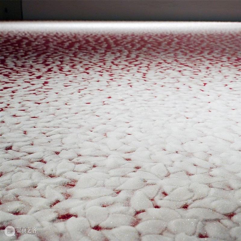日本艺术家用盐画画,55个小时制作10万朵樱花,背后原因令人泪目 樱花 日本 背后 艺术 原因 泪目 赏樱 季节 枝头 心神 崇真艺客