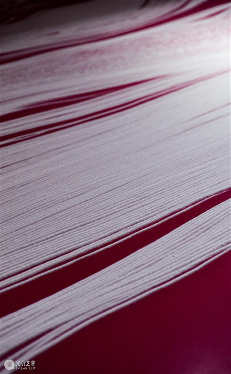 日本艺术家用盐画画,55个小时制作10万朵樱花,背后原因令人泪目 樱花 日本 背后 艺术 原因 泪目 赏樱 季节 枝头 心神 崇真艺客