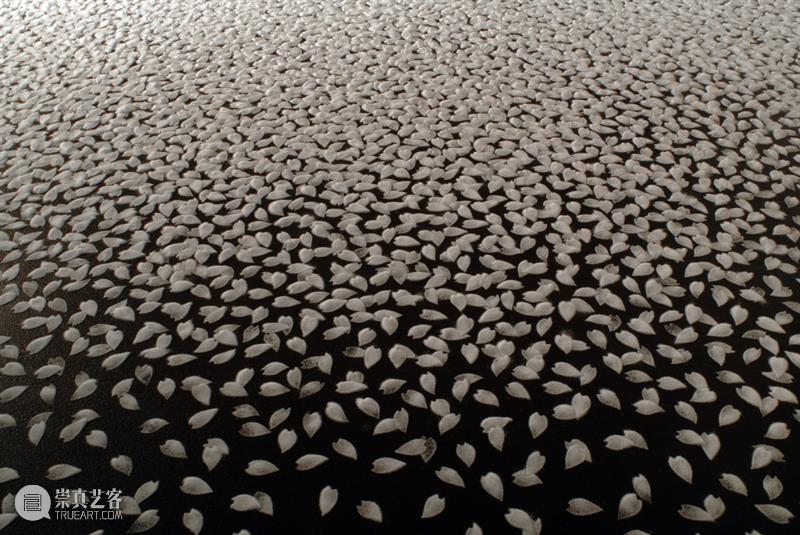 日本艺术家用盐画画,55个小时制作10万朵樱花,背后原因令人泪目 樱花 日本 背后 艺术 原因 泪目 赏樱 季节 枝头 心神 崇真艺客