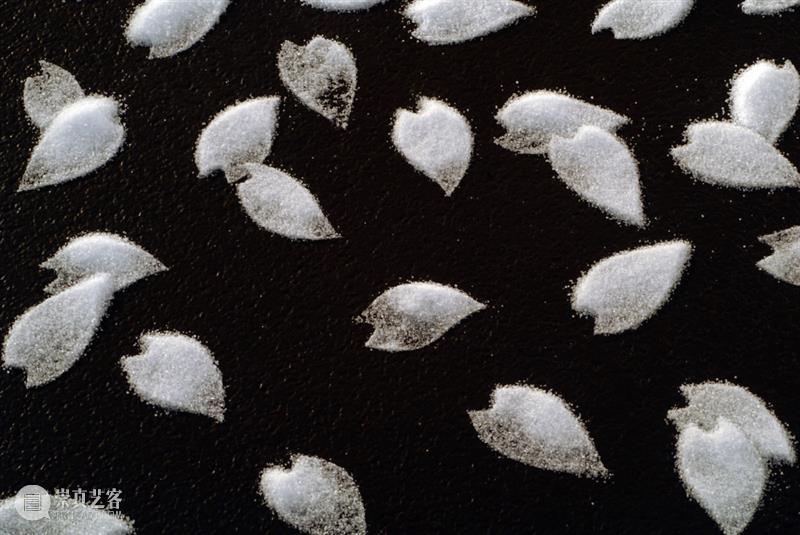日本艺术家用盐画画,55个小时制作10万朵樱花,背后原因令人泪目 樱花 日本 背后 艺术 原因 泪目 赏樱 季节 枝头 心神 崇真艺客