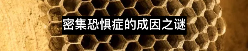 阅读障碍是一种病吗? Sirin Kale 崇真艺客