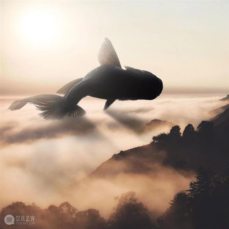 PS启动页面作者的超现实作品  纯灰艺术 页面 作品 作者 Photoshop 火烈鸟 湖上 身体 天空 粉红色 云彩 崇真艺客