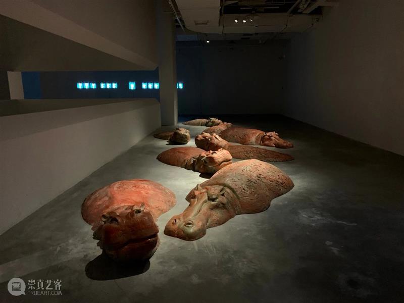 【美博美术馆】志生:小径分岔的花园——袁侃:生命的寓言 美博艺术中心 美博美术馆 志生 小径分岔的花园 袁侃 寓言 生命 诚意 年度 主题 美术馆 崇真艺客