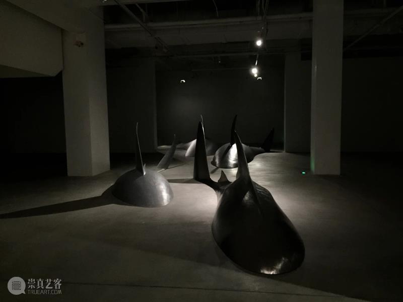 【美博美术馆】志生:小径分岔的花园——袁侃:生命的寓言 美博艺术中心 美博美术馆 志生 小径分岔的花园 袁侃 寓言 生命 诚意 年度 主题 美术馆 崇真艺客