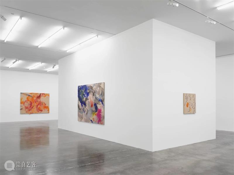 白立方伦敦 | 杰西卡·兰金（Jessica Rankin）：“无限怀旧”  White Cube 崇真艺客
