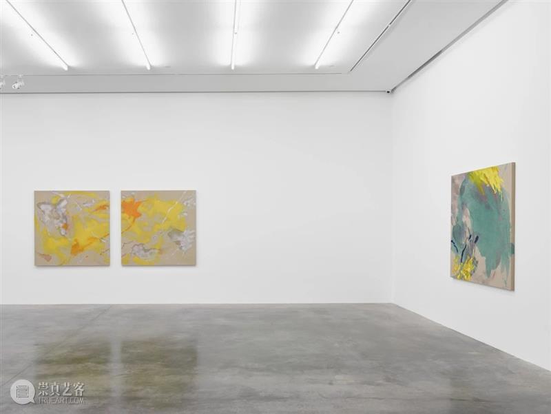 白立方伦敦 | 杰西卡·兰金（Jessica Rankin）：“无限怀旧”  White Cube 崇真艺客