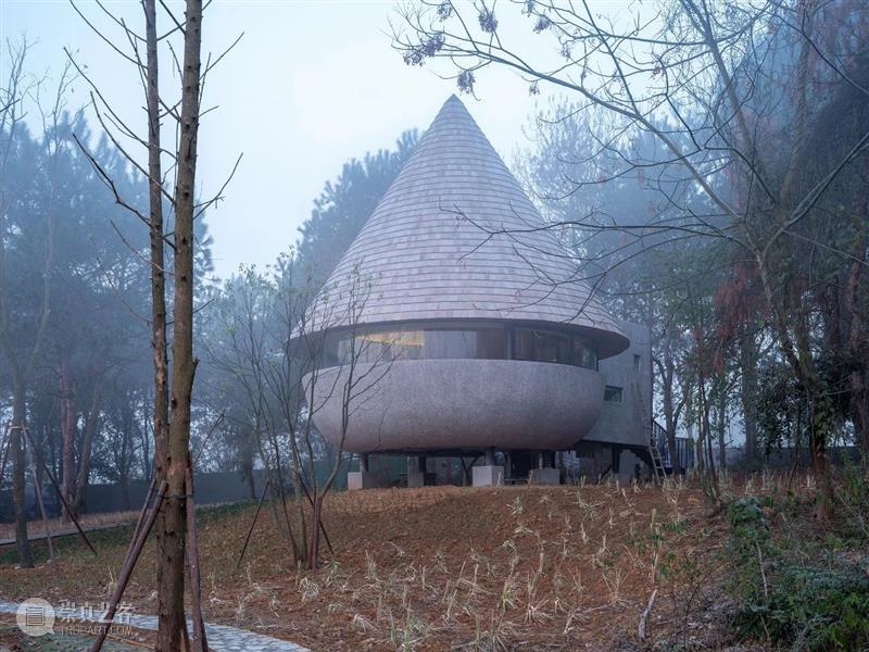 蘑菇木屋 / 休耕建筑 视频资讯 ADCNews 建筑 蘑菇 木屋 松树林 自然 关系 重点 形式 功能 体量 崇真艺客