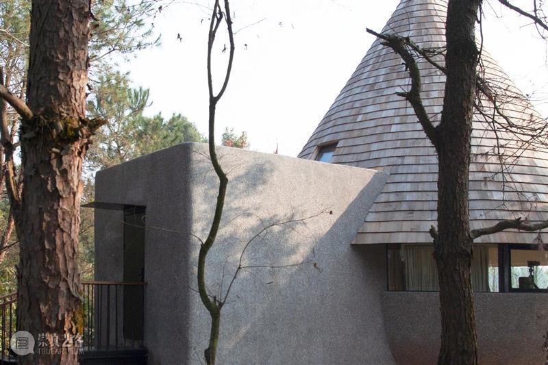 蘑菇木屋 / 休耕建筑 视频资讯 ADCNews 建筑 蘑菇 木屋 松树林 自然 关系 重点 形式 功能 体量 崇真艺客