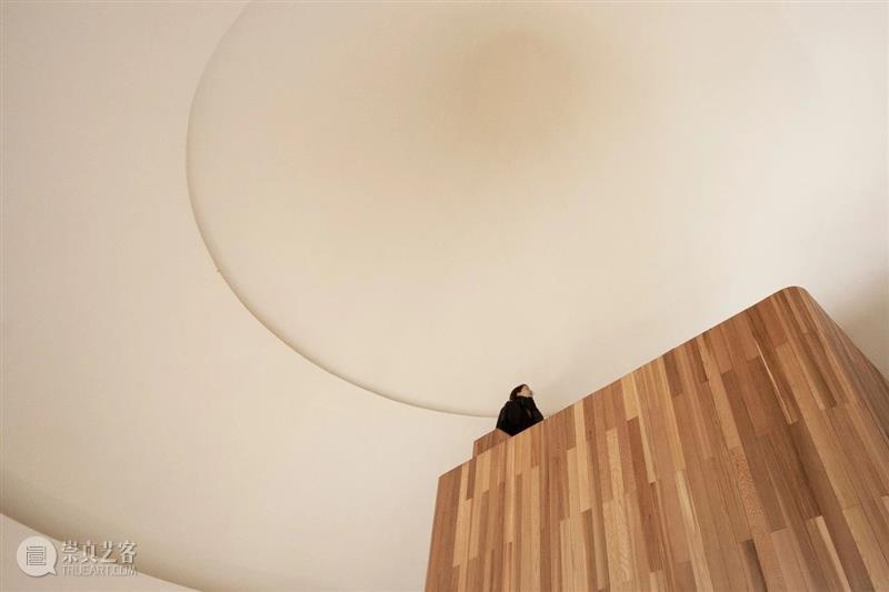 蘑菇木屋 / 休耕建筑 视频资讯 ADCNews 建筑 蘑菇 木屋 松树林 自然 关系 重点 形式 功能 体量 崇真艺客