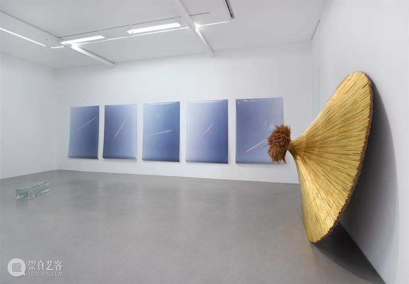 画廊展出 |  安 · 维罗尼卡 · 詹森斯全新个展在空旷天地间引人神游 维罗尼卡 詹森斯 个展 画廊 天地间 现场 卡迈勒 梅隆赫 地址 Saint 崇真艺客
