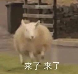 古天乐梁家辉《追虎擒龙》定档五一；郑爽诉张恒案终审宣判 追虎擒龙 古天乐 梁家辉 郑爽 张恒 终审 影视 好剧 小豆 票房 崇真艺客