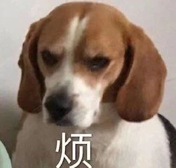 古天乐梁家辉《追虎擒龙》定档五一；郑爽诉张恒案终审宣判 追虎擒龙 古天乐 梁家辉 郑爽 张恒 终审 影视 好剧 小豆 票房 崇真艺客