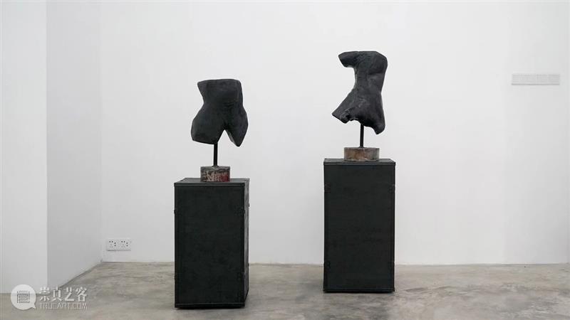 杨洋 | 呼伦贝尔没有草原 | 现场 呼伦贝尔 草原 杨洋 现场 艺术家 Artist Yang Curator 冯震霆 Feng 崇真艺客