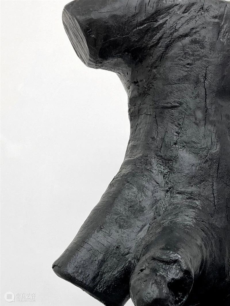 杨洋 | 呼伦贝尔没有草原 | 现场 呼伦贝尔 草原 杨洋 现场 艺术家 Artist Yang Curator 冯震霆 Feng 崇真艺客
