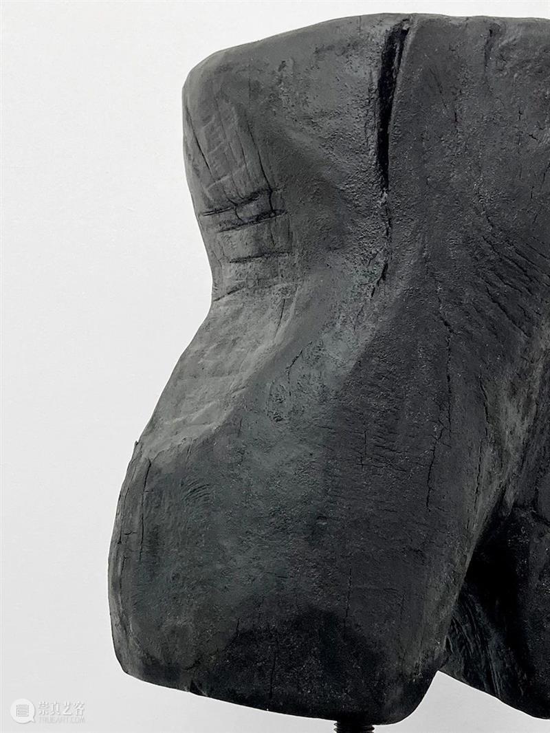 杨洋 | 呼伦贝尔没有草原 | 现场 呼伦贝尔 草原 杨洋 现场 艺术家 Artist Yang Curator 冯震霆 Feng 崇真艺客