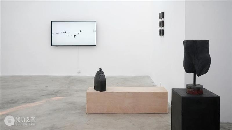杨洋 | 呼伦贝尔没有草原 | 现场 呼伦贝尔 草原 杨洋 现场 艺术家 Artist Yang Curator 冯震霆 Feng 崇真艺客