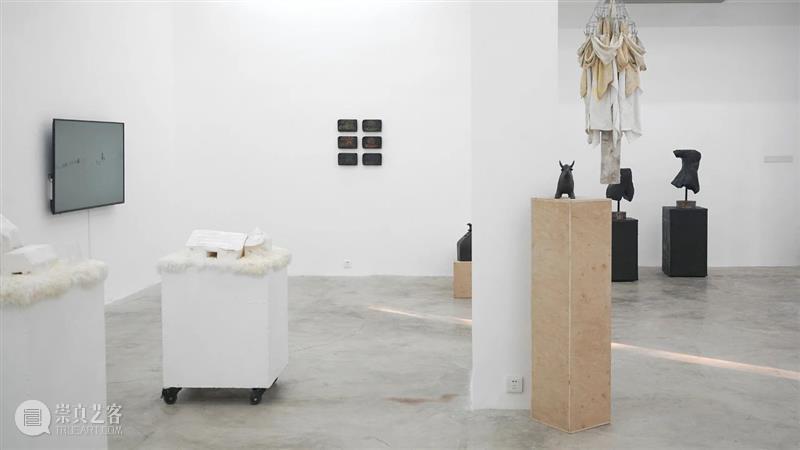 杨洋 | 呼伦贝尔没有草原 | 现场 呼伦贝尔 草原 杨洋 现场 艺术家 Artist Yang Curator 冯震霆 Feng 崇真艺客