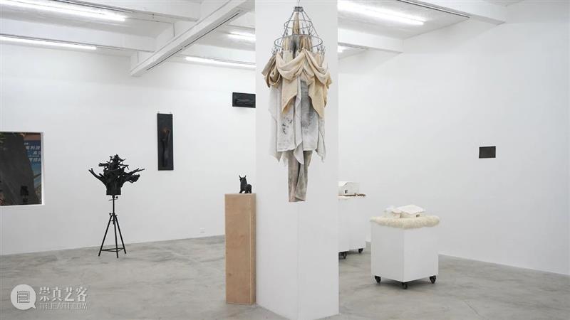 杨洋 | 呼伦贝尔没有草原 | 现场 呼伦贝尔 草原 杨洋 现场 艺术家 Artist Yang Curator 冯震霆 Feng 崇真艺客