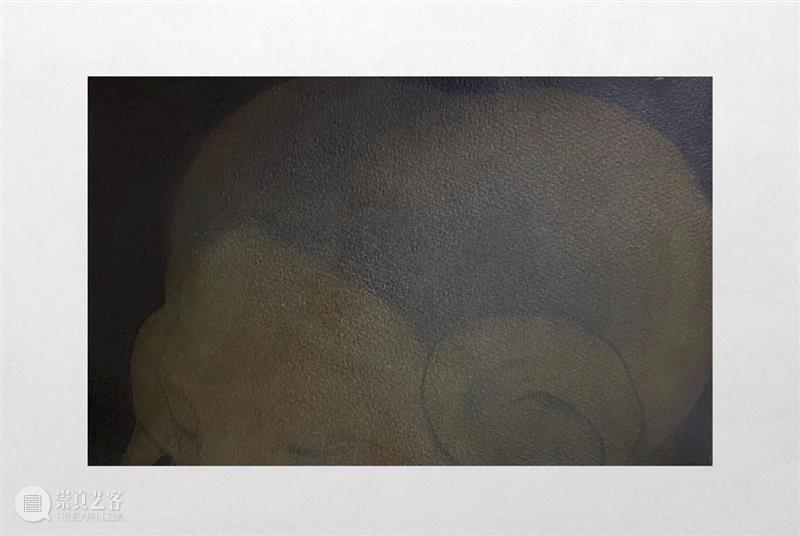 杨洋 | 呼伦贝尔没有草原 | 现场 呼伦贝尔 草原 杨洋 现场 艺术家 Artist Yang Curator 冯震霆 Feng 崇真艺客
