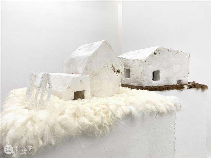 杨洋 | 呼伦贝尔没有草原 | 现场 呼伦贝尔 草原 杨洋 现场 艺术家 Artist Yang Curator 冯震霆 Feng 崇真艺客