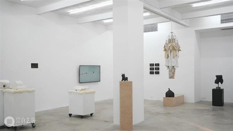 杨洋 | 呼伦贝尔没有草原 | 现场 呼伦贝尔 草原 杨洋 现场 艺术家 Artist Yang Curator 冯震霆 Feng 崇真艺客
